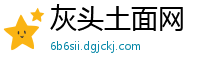 灰头土面网